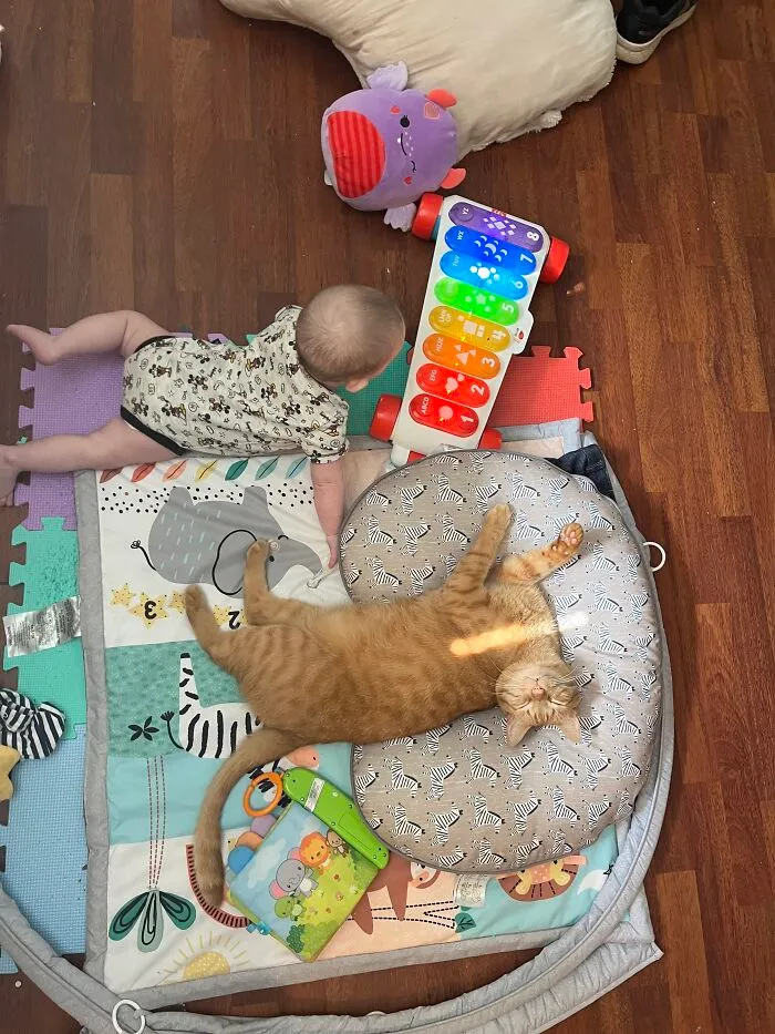 An orange cat sleeping comfortably on a zebra cushion next to a baby playing on a playmat