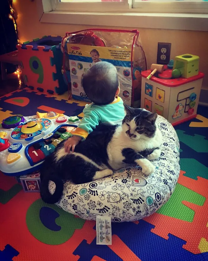 A black and white cat resting on a patterned cushion while a baby gently holds its back