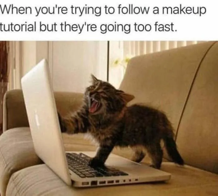 Relatable cat memes of a stressed kitten pawing at a laptop screen