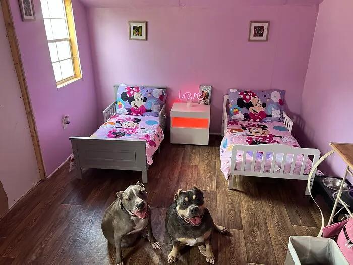 Own House, Own Beds🤦🏽‍♀️