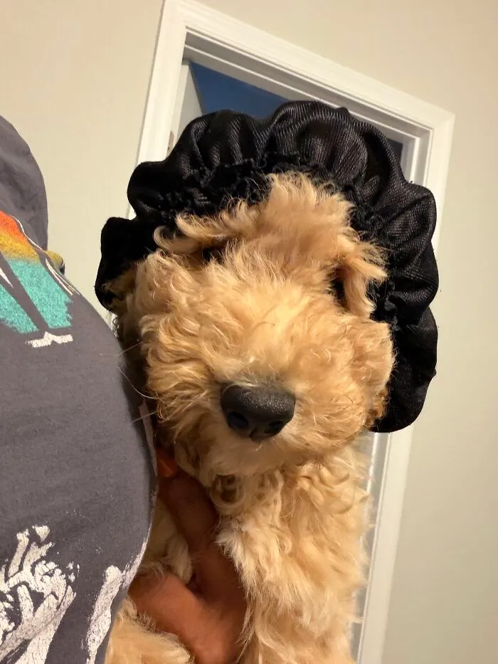 We Wear Bonnets To Sleep Spoiled. Mind You I Just Got Her A Month Ago 😮‍💨