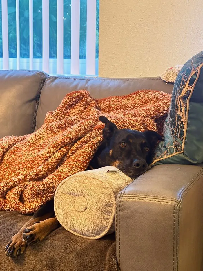 Cozy