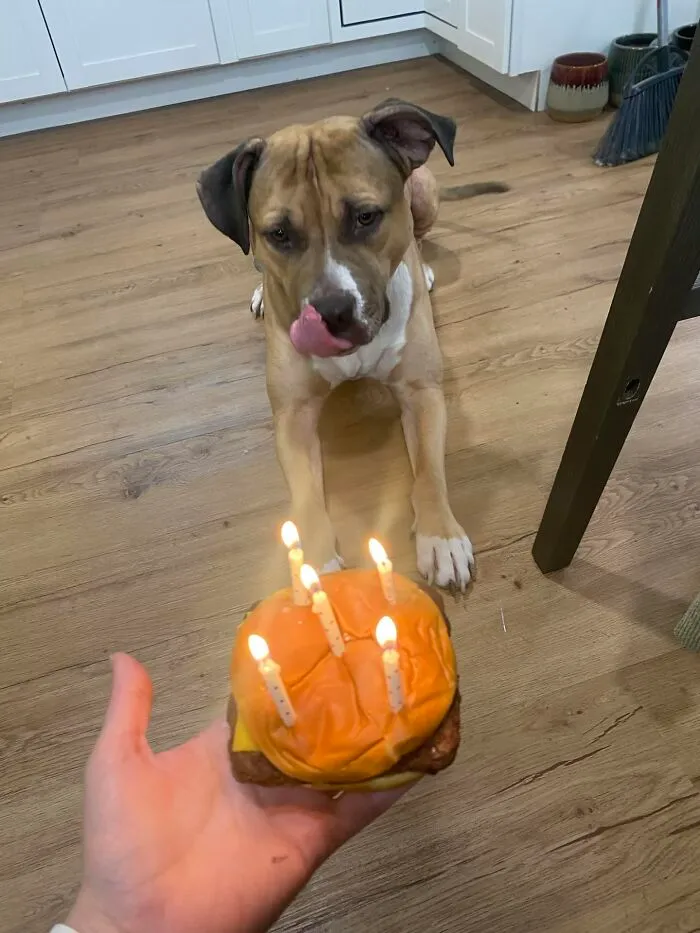 Happy Birthday!