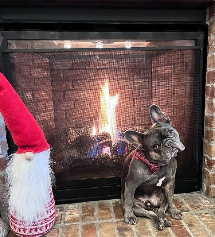 Yes We Turn The Fire On For Him 🥰