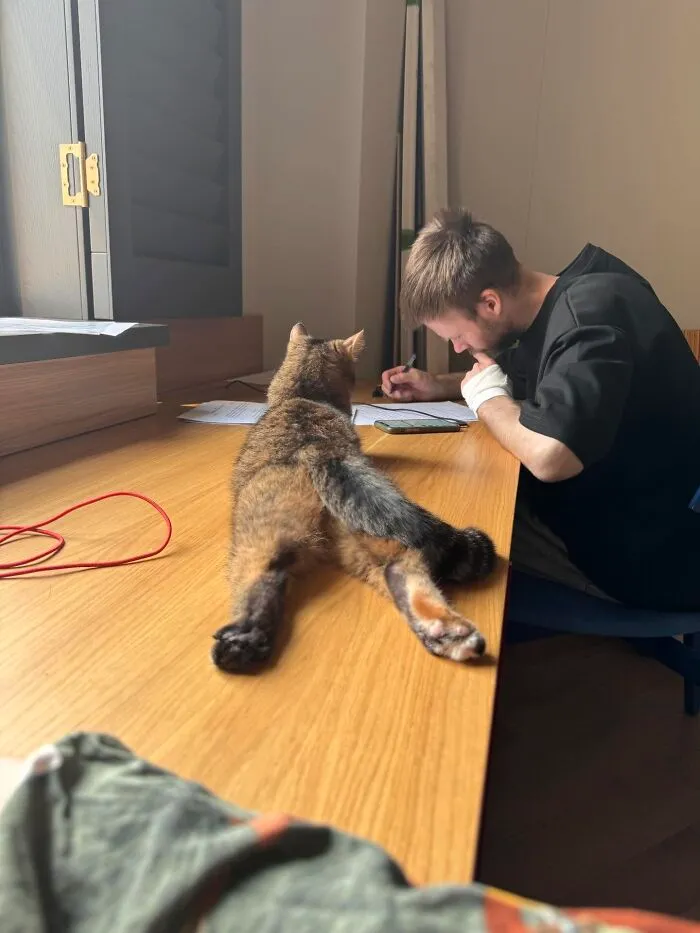 A cat splooting flat on a desk in weird pet poses next to a studying person.