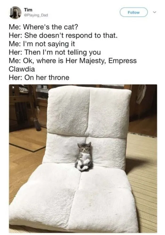 Cat memes featuring a tiny kitten sitting on a huge white chair throne