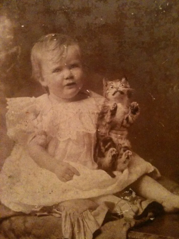 Vintage family photos with cats featuring a toddler in a white dress holding a startled cat