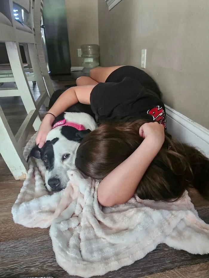 A girl cuddles with her black and white dog on a blanket, showing their shared life stories