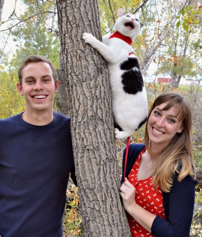 Awkward family photos with cats featuring a couple smiling while their cat climbs a tree on a leash