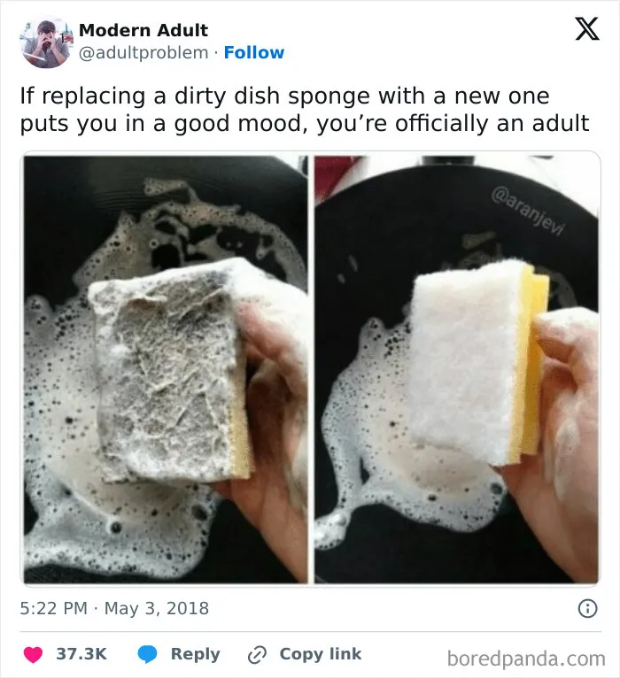 Comparison of dirty and new dish sponge showing adult mood boost