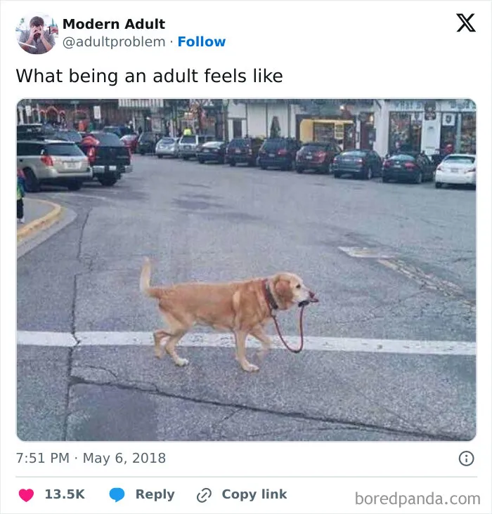 Meme showing a dog holding its own leash about adult responsibilities
