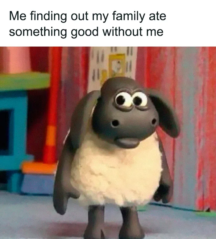 Animated sheep looking shocked about family eating without them, relatable female memes