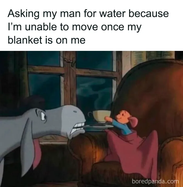 Cartoon mouse offering water to donkey illustrating female memes