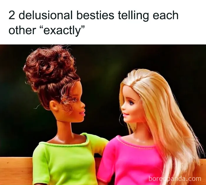 Relatable female meme of two best friends agreeing exactly