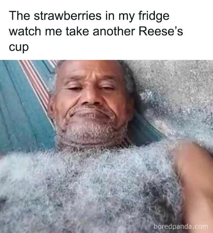 Meme of man covered in fuzz as strawberries watch in fridge