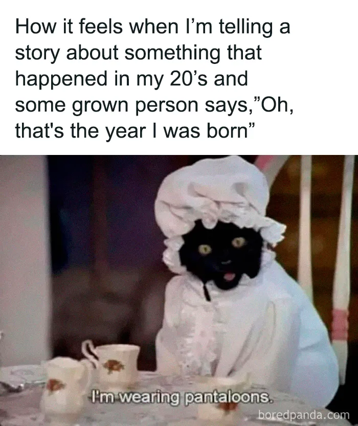 Cat dressed in pantaloons meme about age gap and storytelling