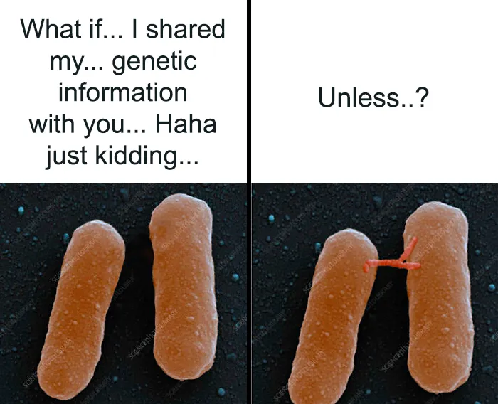 Collage meme about biology teaching with Crash Course host images