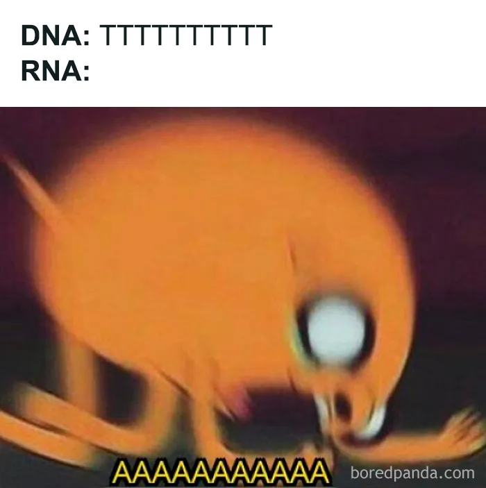 Funny biology meme comparing DNA and RNA with screaming character