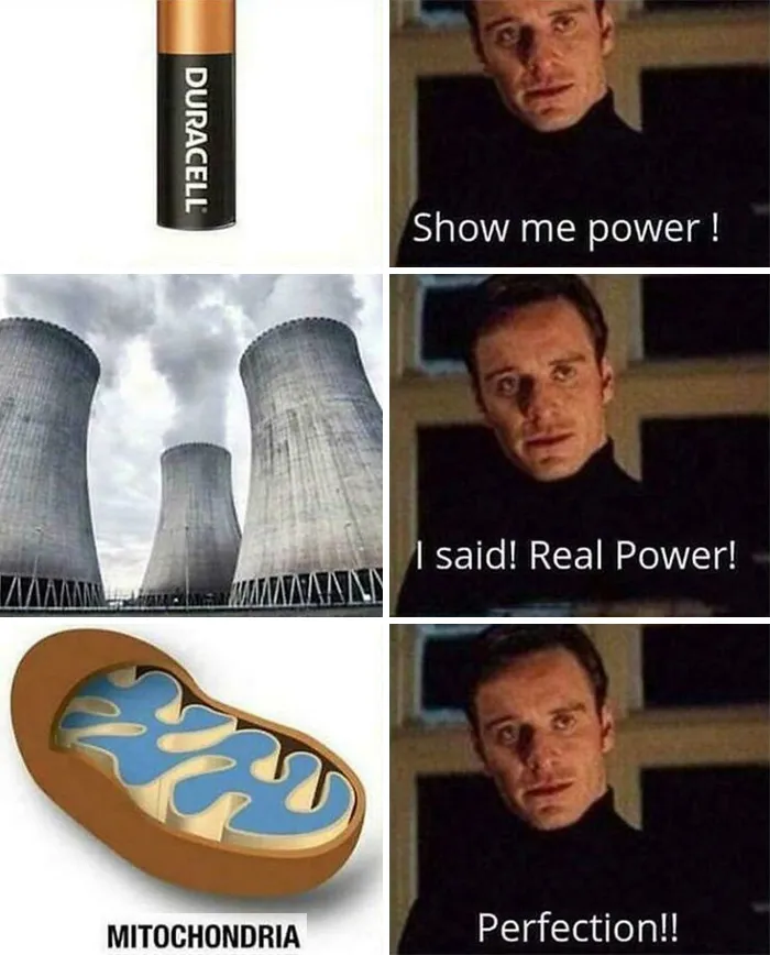 Mitochondria meme showing it as the real power source with funny biology memes