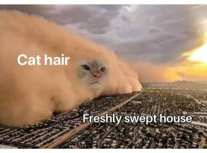 Funny memes showing a giant dust cloud shaped like a cat face engulfing a neighborhood to represent cat hair.
