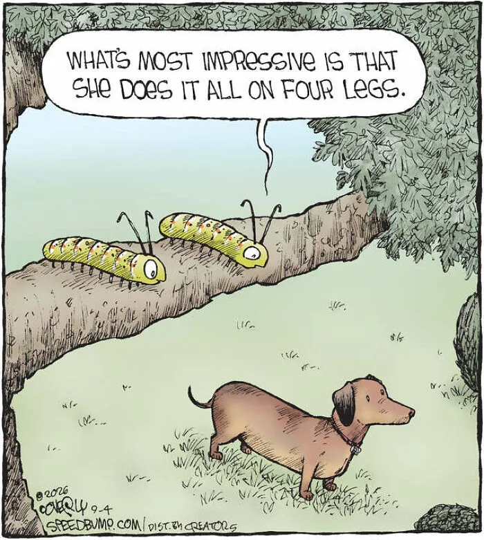 A Speed Bump comic showing two caterpillars watching a dachshund, remarking on her walking on four legs.