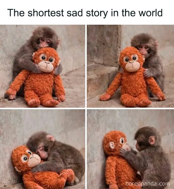 Sad female meme with a monkey and its stuffed toy telling a sad story