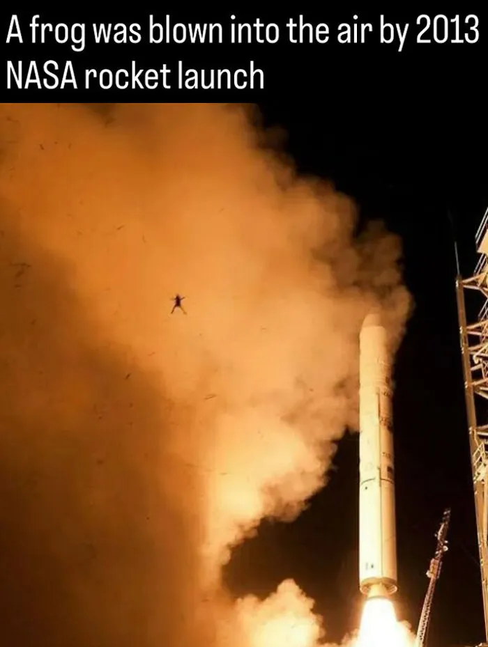 A frog launched into the air during a 2013 NASA rocket launch from photos and facts about history.