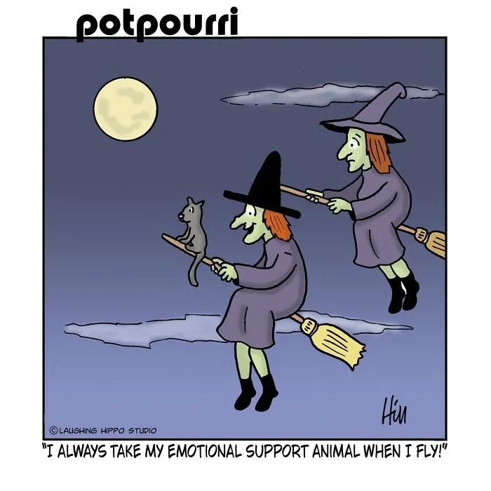 Witches flying on broomsticks with a cat in a Spooktacular Humor comic by Laughing Hippo Studio.