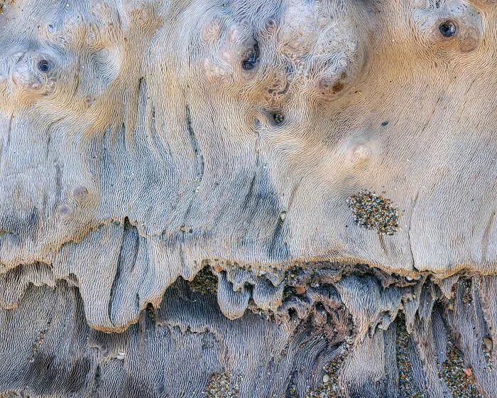 Abstract close-up of weathered wood grain and organic textures featured in natural landscape photography.