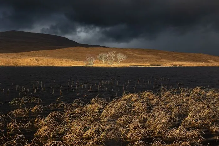 Natural landscape photography of a dramatic stormy sky over a dark lake with golden grasses and distant hills.