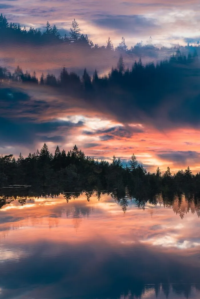 Natural landscape photography awards entry with forest trees reflecting in lake water during sunset