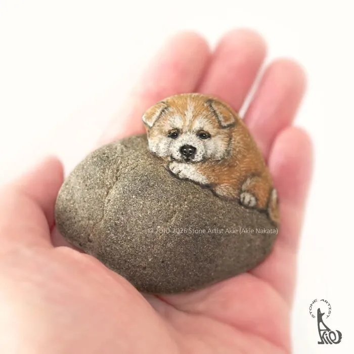 Stone painted as a cute dog resting on hand by Japanese artist