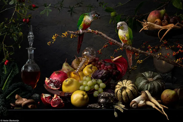 Still life display with two green parrots perched near fresh fruit and pumpkins.