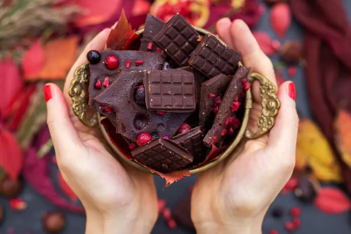 Hands holding bowl of dark chocolate pieces with red berries and autumn leaves