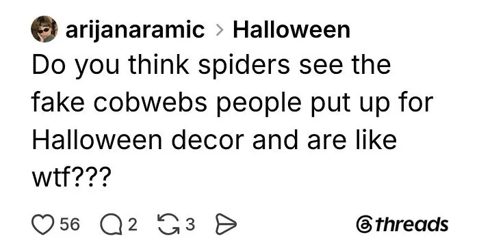 Funny Halloween posts screenshot about spiders reacting in confusion to fake cobweb decor.