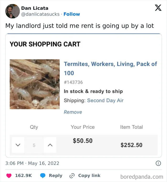 Tweet showing termites in a shopping cart symbolizing rent increases in growing up memes