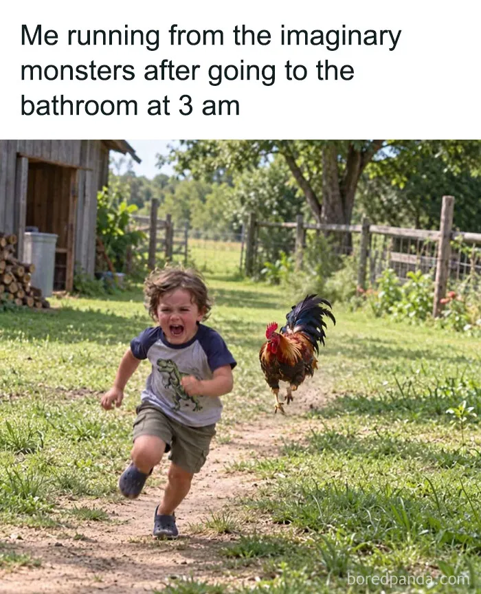 Funny relatable animal memes featuring a rooster chasing a screaming boy outdoors