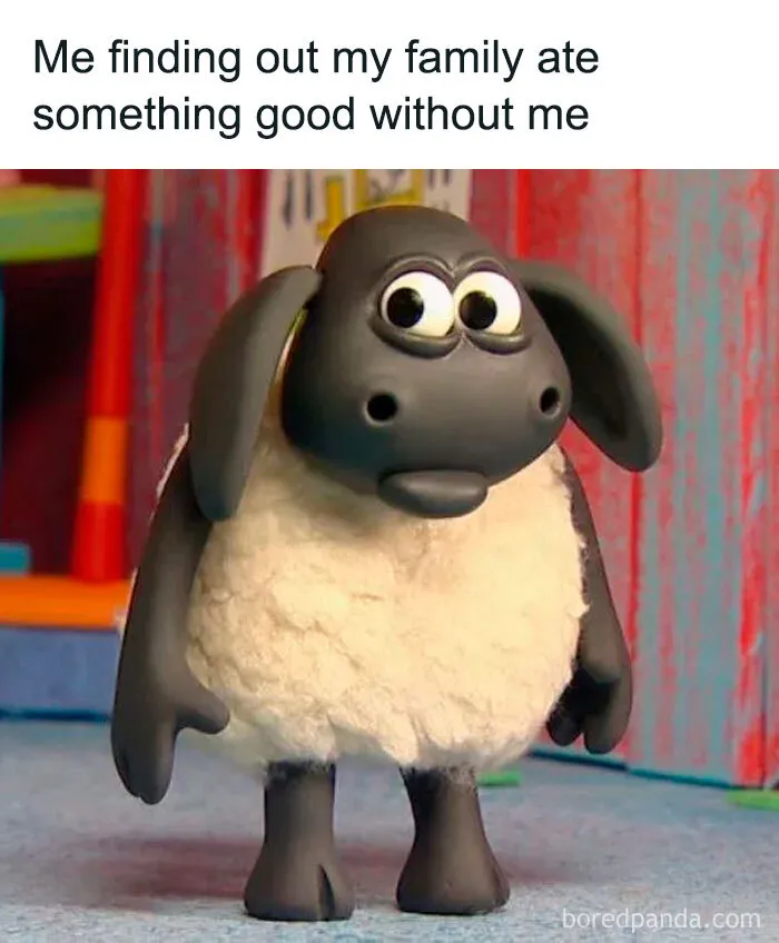 Also When U Bought It While Coming Home
