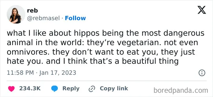 65 Funny Vegetarian Tweets For Those Who Are Tired Of Explaining Their Diet For The 100th Time