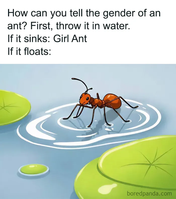 A pun riddle about telling the gender of an ant, suitable for edgy memes.