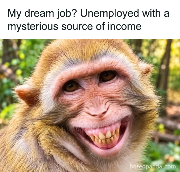 Close up of a monkey smiling widely in hilarious animal memes about dream jobs.