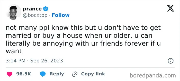 Meme about not needing marriage or house to stay annoying with friends
