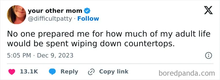 Funny adulting meme about wiping down countertops