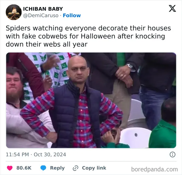 Disappointed cricket fan meme paired with a funny caption about cobwebs during spooky season.