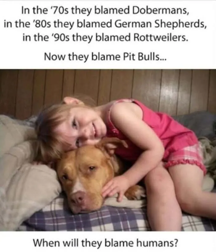 A little girl cuddling affectionately with her pit bull dog, featured in sweet dog memes
