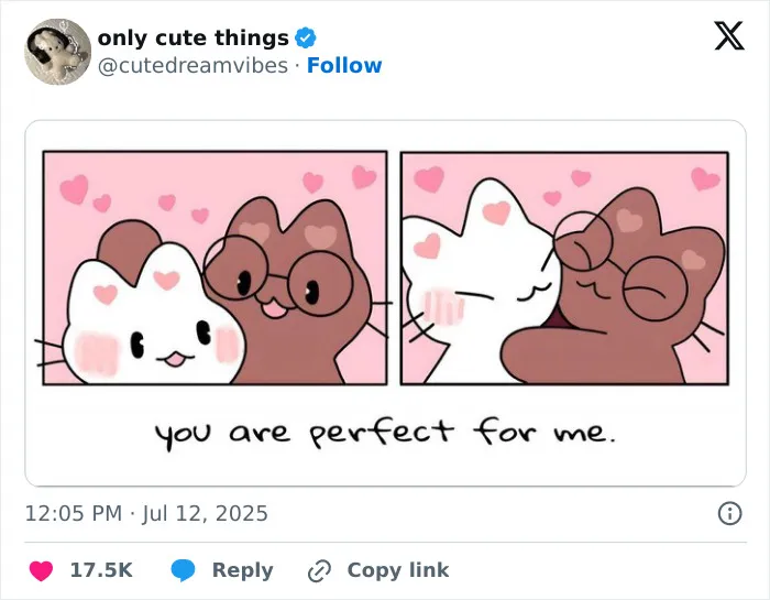 Cartoon cats hugging with hearts saying you are perfect for me adorable love post