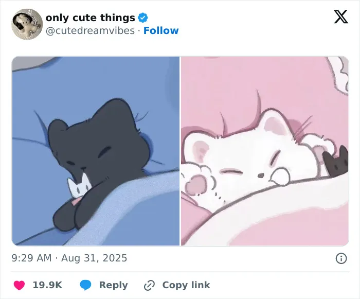 Cartoon of two cats sleeping in separate beds with cute vibes
