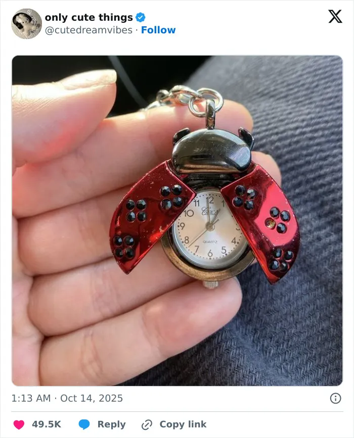 Ladybug themed pocket watch keychain held in hand with decorative wings