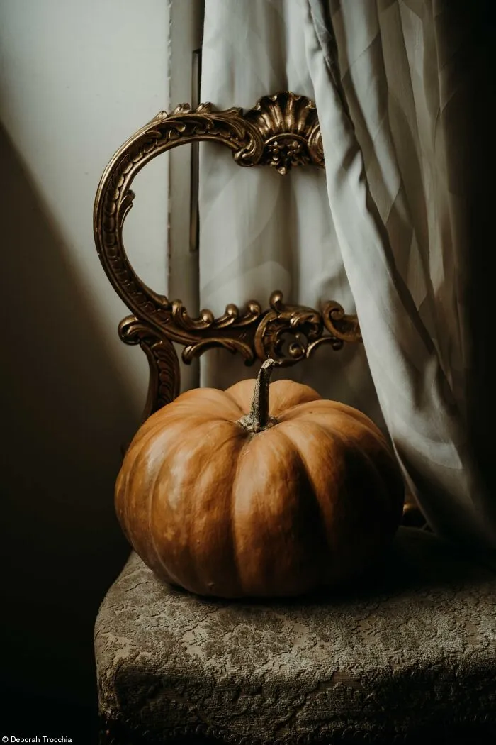 A single large pumpkin resting on a vintage ornate chair beside a curtain.