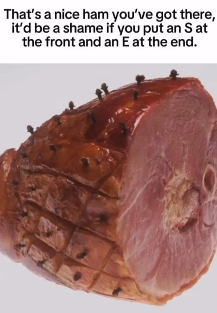 Meme about ham with cloves and a word pun, technically correct meme
